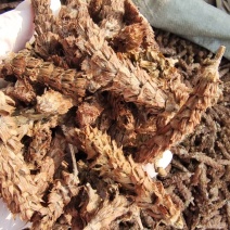夏枯球去梗选货2斤包邮量大优惠