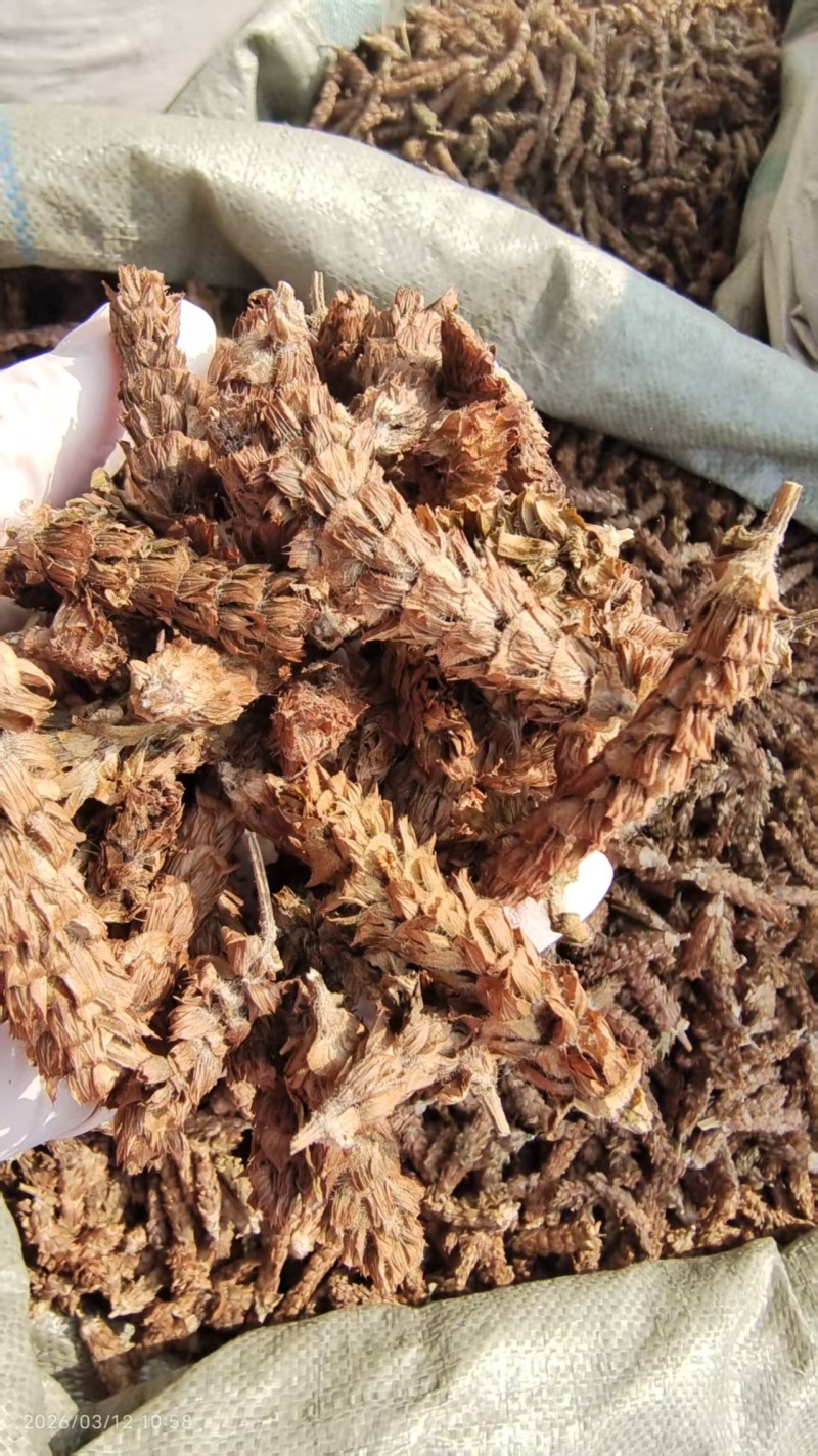 夏枯球去梗选货2斤包邮量大优惠