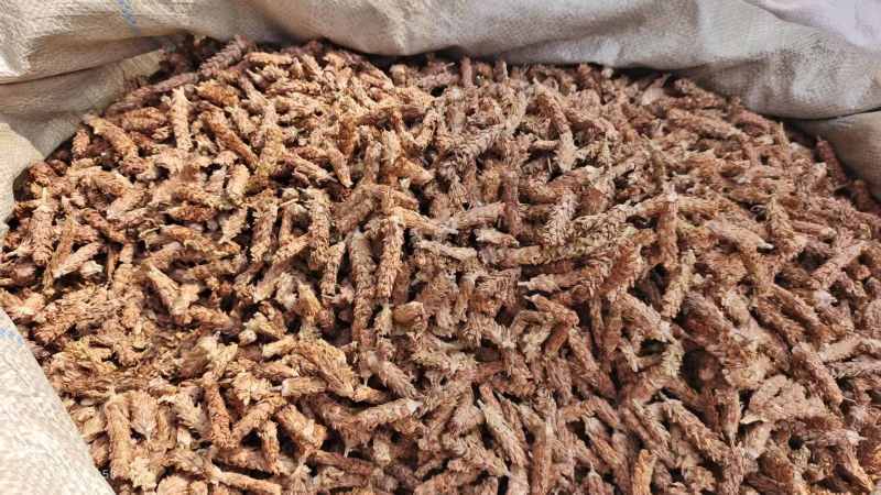 夏枯球去梗选货2斤包邮量大优惠