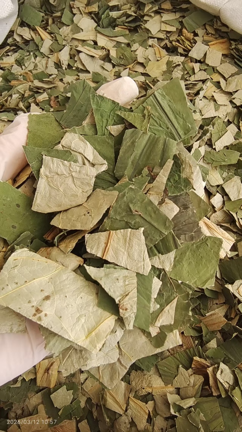 荷叶中药材干货2斤包邮量大优惠