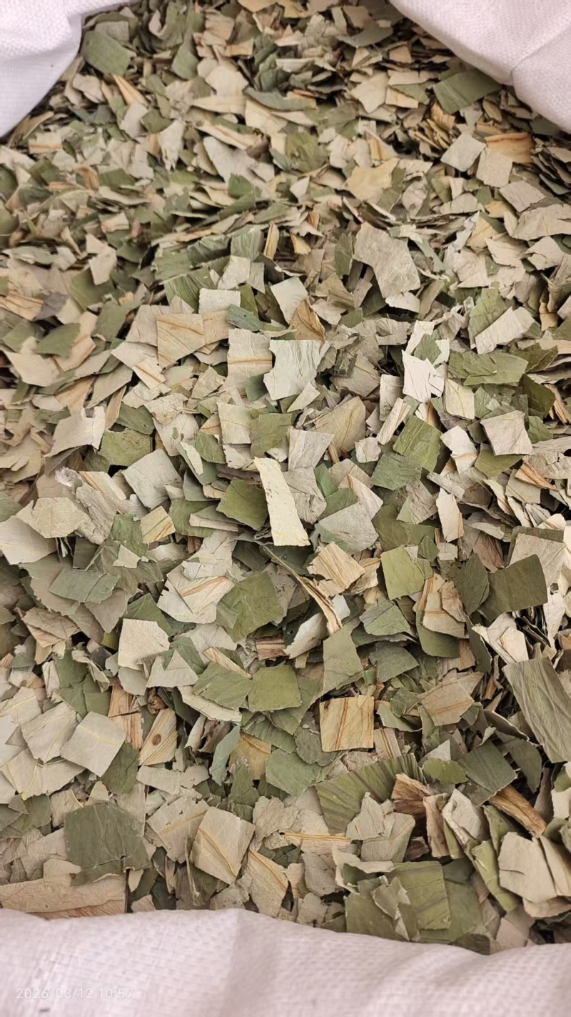 荷叶中药材干货2斤包邮量大优惠