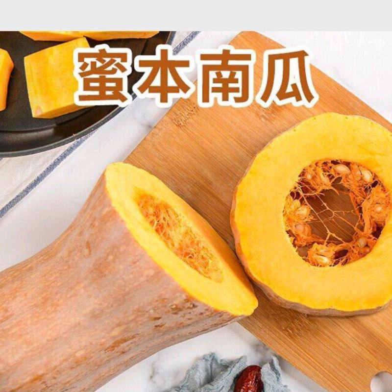 金韩密本南瓜苗香芋南瓜苗贝贝小南瓜苗免费技术指导包回收