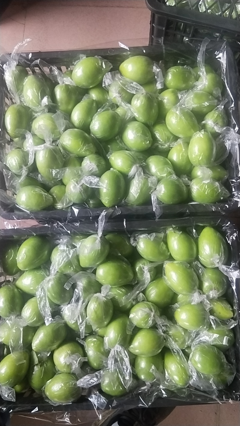 广西平南特产大青枣百亩果园，大量上市了