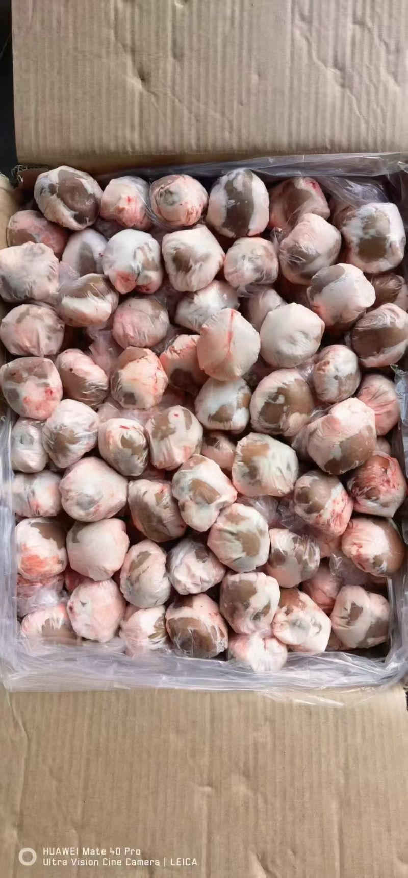 原油羊腰子价格便宜
