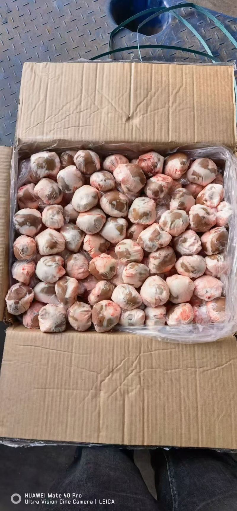 原油羊腰子价格便宜
