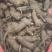 正宗白术改良品种种植食用白术新鲜鲜活,自己家种植现挖现发