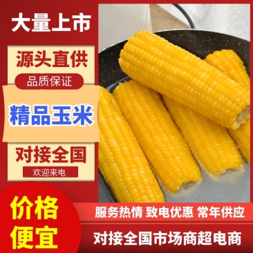 精品玉米🌽产地一手货源质量三包!可大量供应各大渠道!