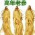 长白山野生人参6年干白参泡酒煲汤滋补珍品保质保量包邮