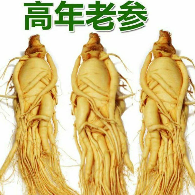长白山野生人参6年干白参泡酒煲汤滋补珍品保质保量包邮