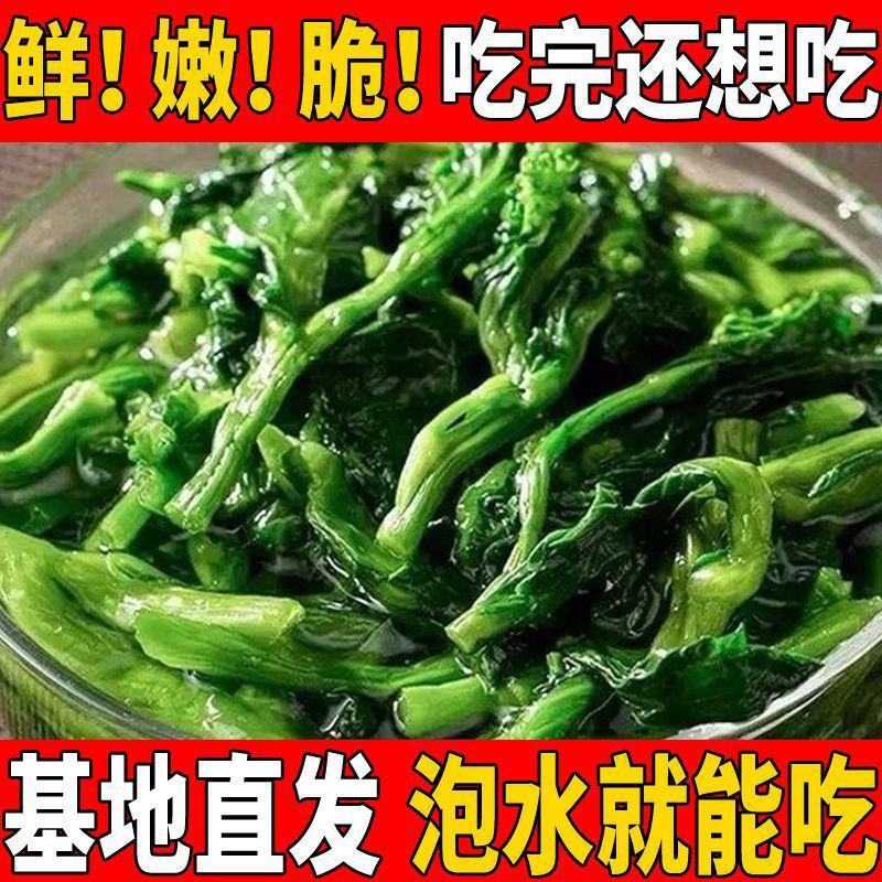 脱水万年青脱水蔬菜前期整颗万年青拌饭小青菜