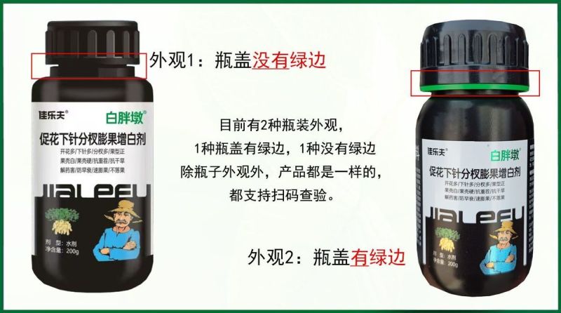 花生专用增产肥花生分杈高产猛下针促开花花生粒粒饱白胖墩