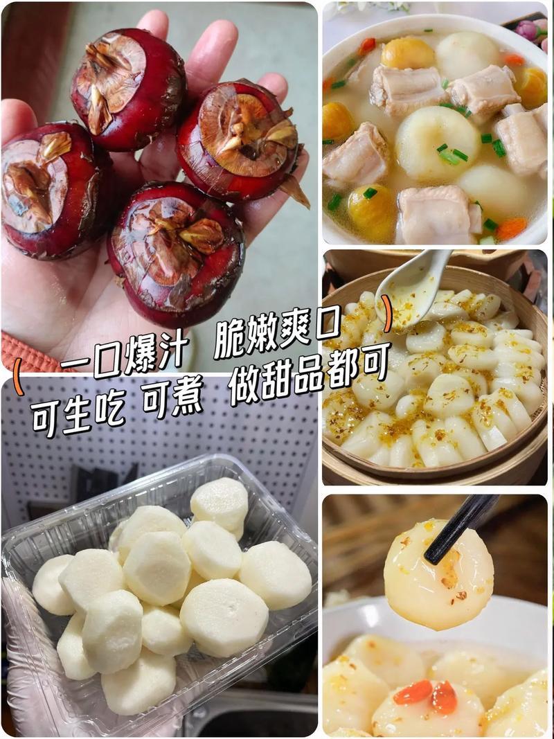 无为荸荠珍珠马蹄量大质优价格优惠欢迎各大老板采购