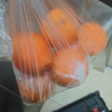 脐橙