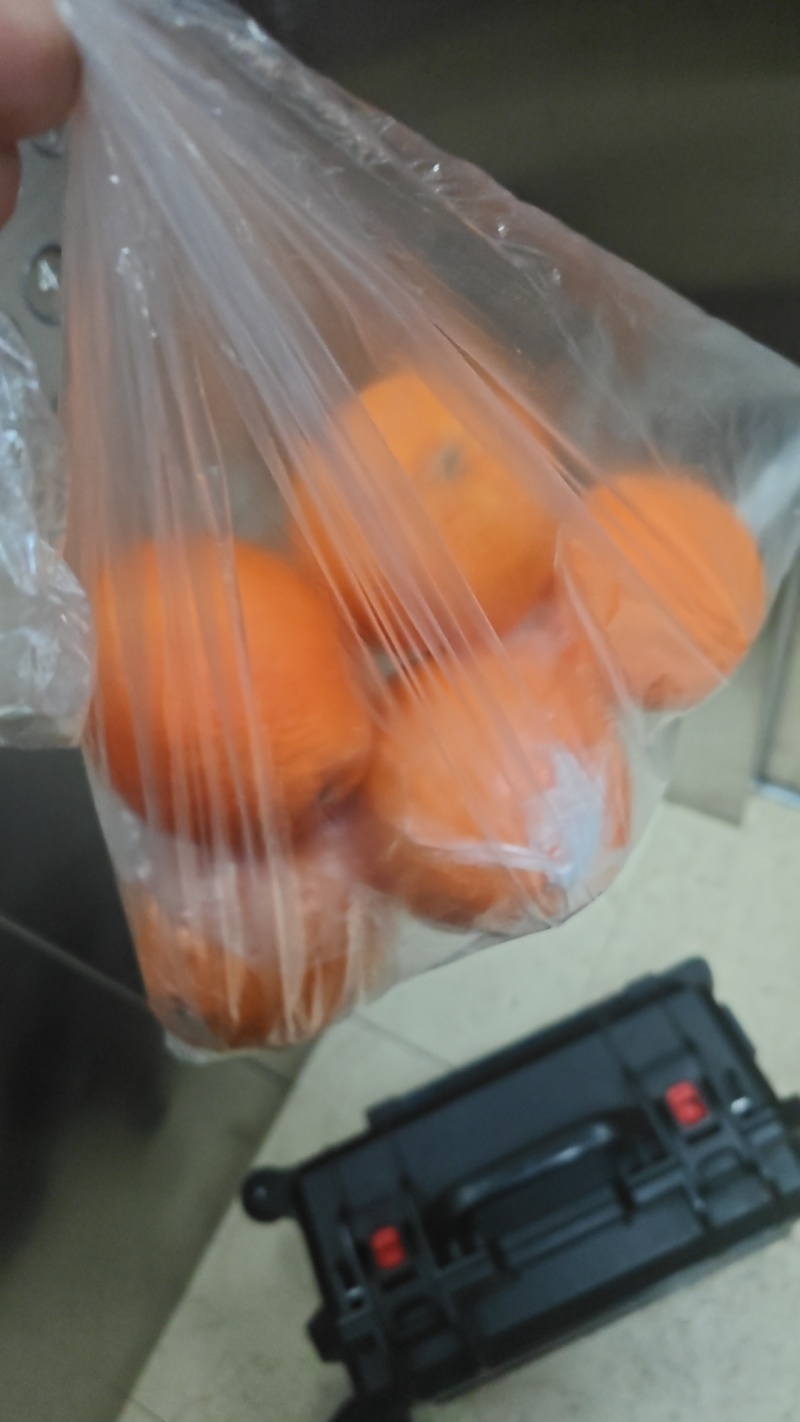 脐橙