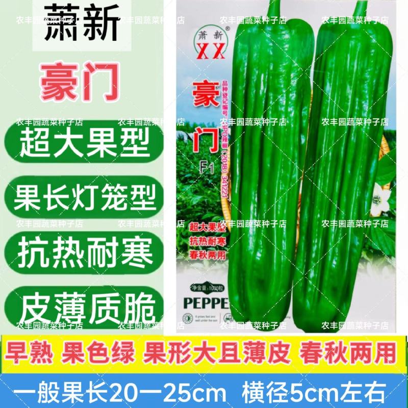 豪门辣椒种子大果薄皮早熟亮绿色耐热耐寒高产四季种植蔬菜种