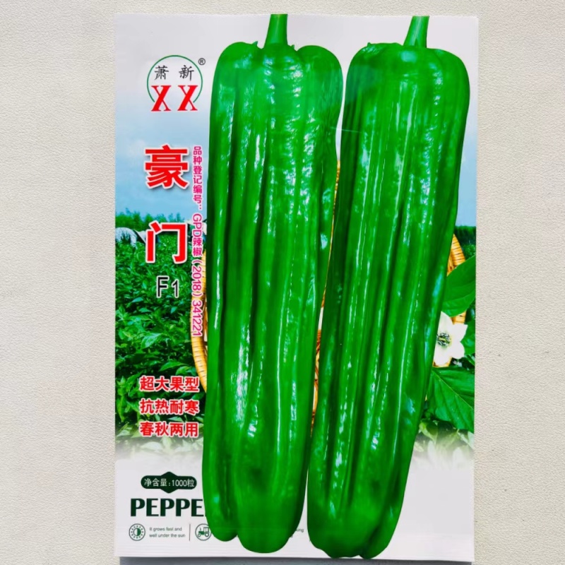 豪门辣椒种子大果薄皮早熟亮绿色耐热耐寒高产四季种植蔬菜种