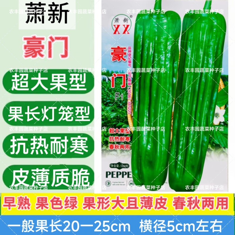 豪门辣椒种子大果薄皮早熟亮绿色耐热耐寒高产四季种植蔬菜种