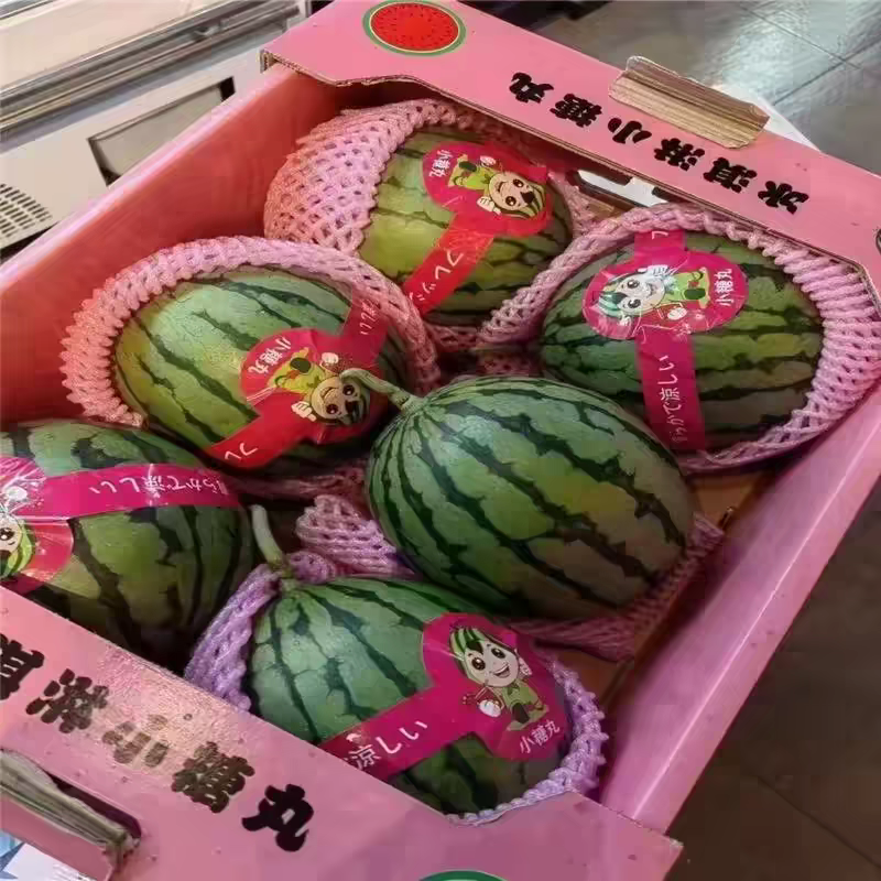 （小糖丸西瓜）海南小吊瓜/2K西瓜/皮薄多汁/保质保量