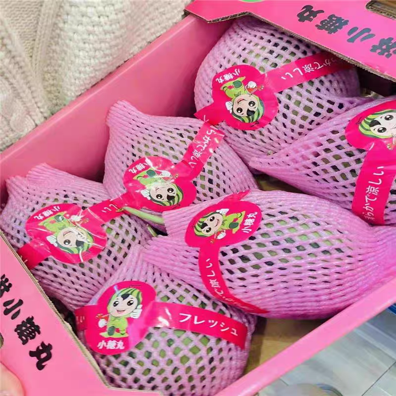 （小糖丸西瓜）海南小吊瓜/2K西瓜/皮薄多汁/保质保量