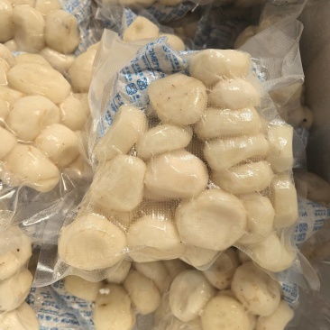 手工去皮马蹄半斤一包1斤一包可以按需定制