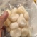 手工去皮马蹄半斤一包1斤一包可以按需定制