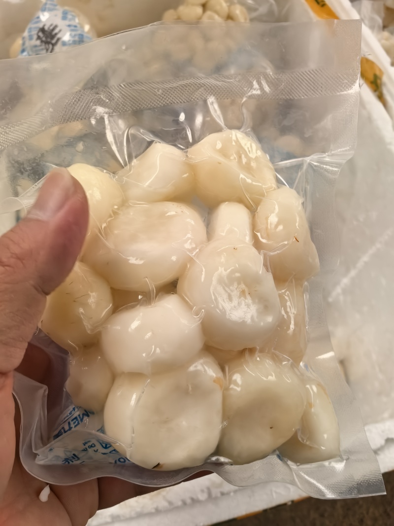 手工去皮马蹄半斤一包1斤一包可以按需定制