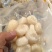 手工去皮马蹄半斤一包1斤一包可以按需定制