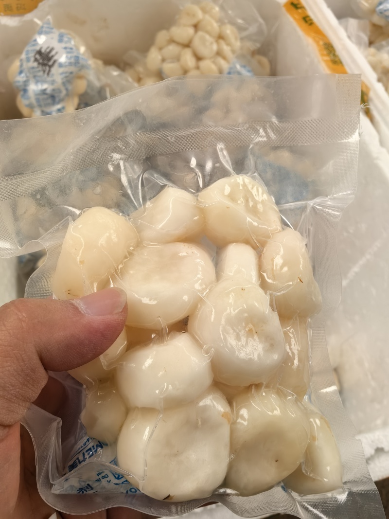 手工去皮马蹄半斤一包1斤一包可以按需定制