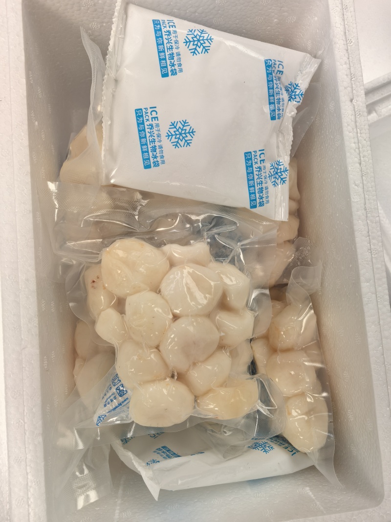 手工去皮马蹄半斤一包1斤一包可以按需定制