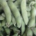 精品毛豆，只做精品，可以打冷，翠绿宝，绿宝石，毛豆