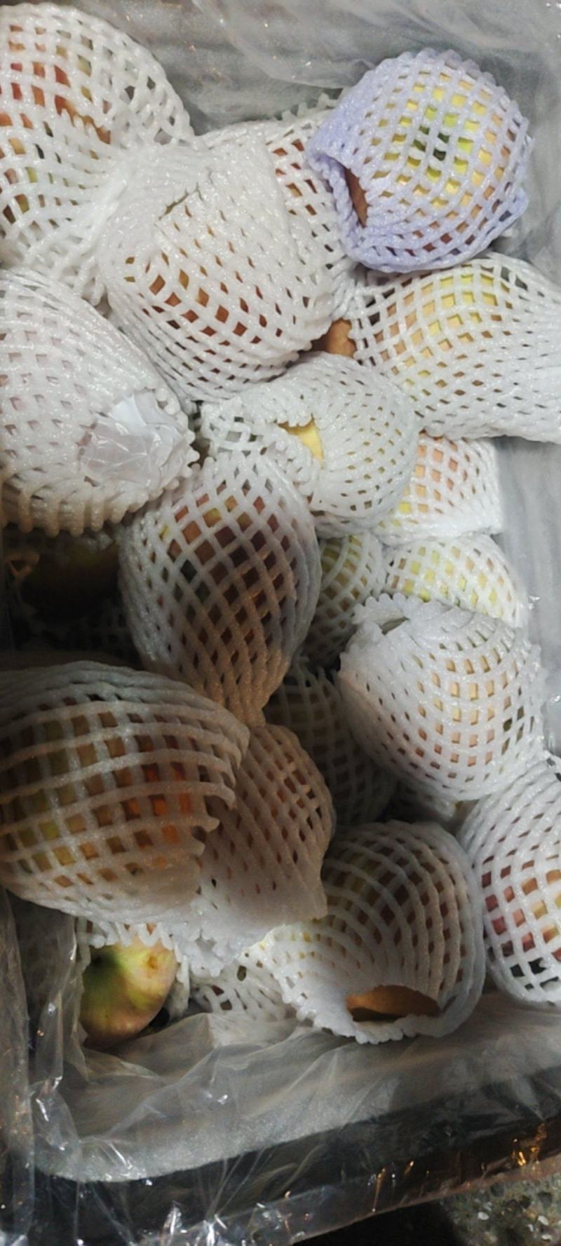 新疆阿克苏处理。