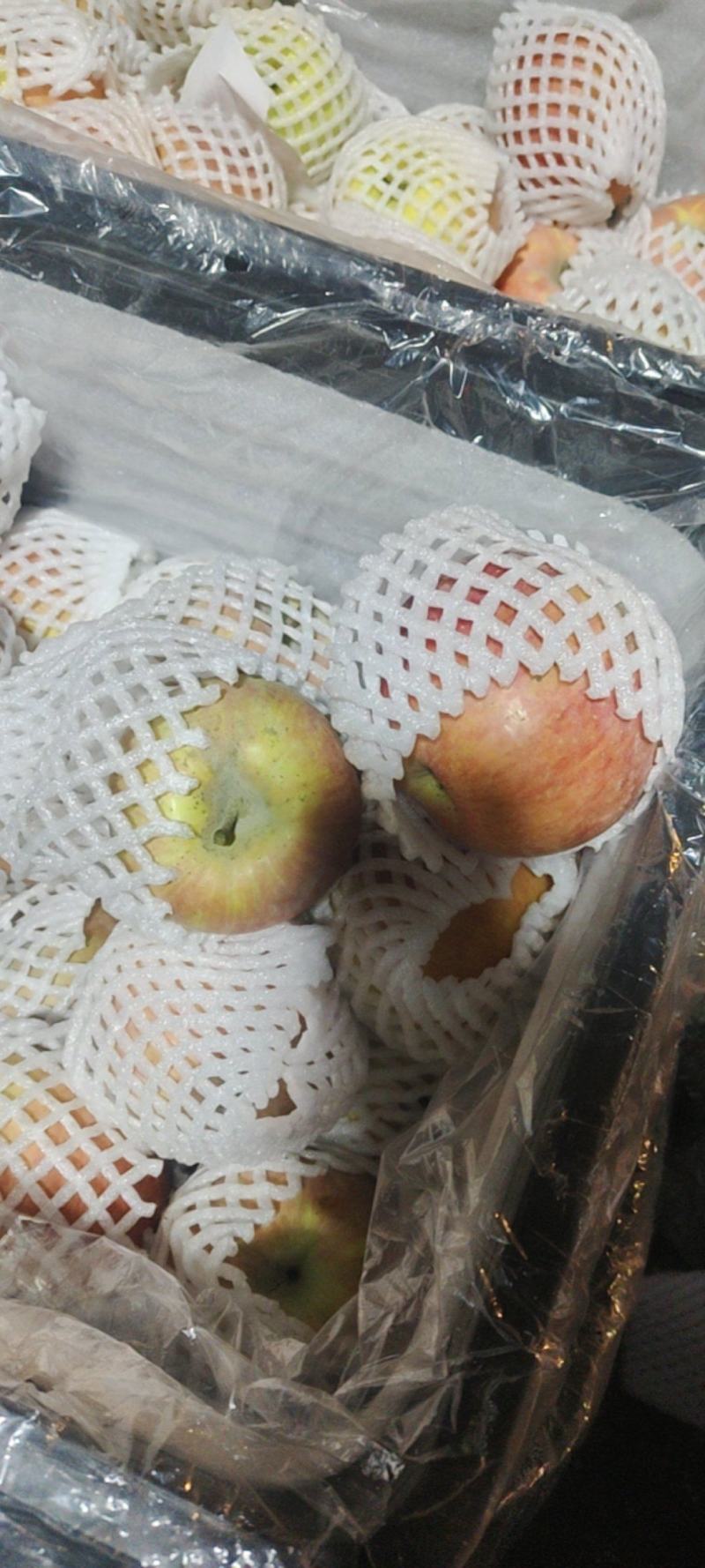 新疆阿克苏处理。