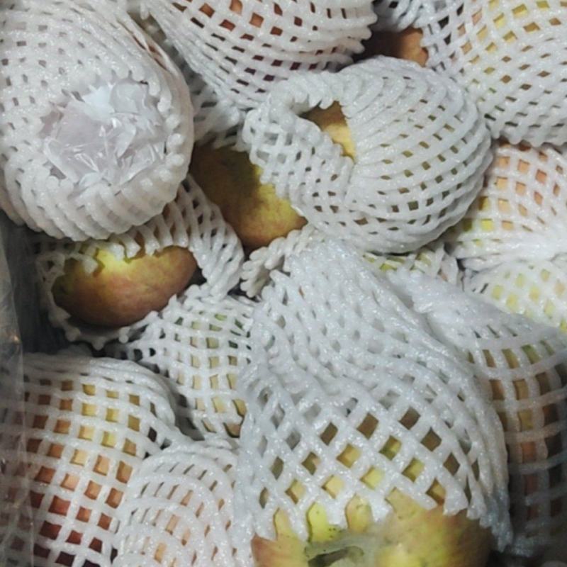 新疆阿克苏处理。