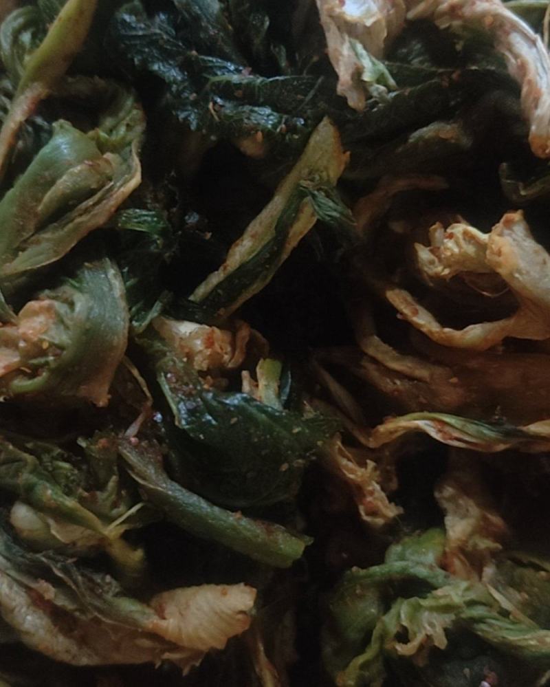 四川人自己手工制作的榨菜，传统做法，没有添加任何保鲜剂