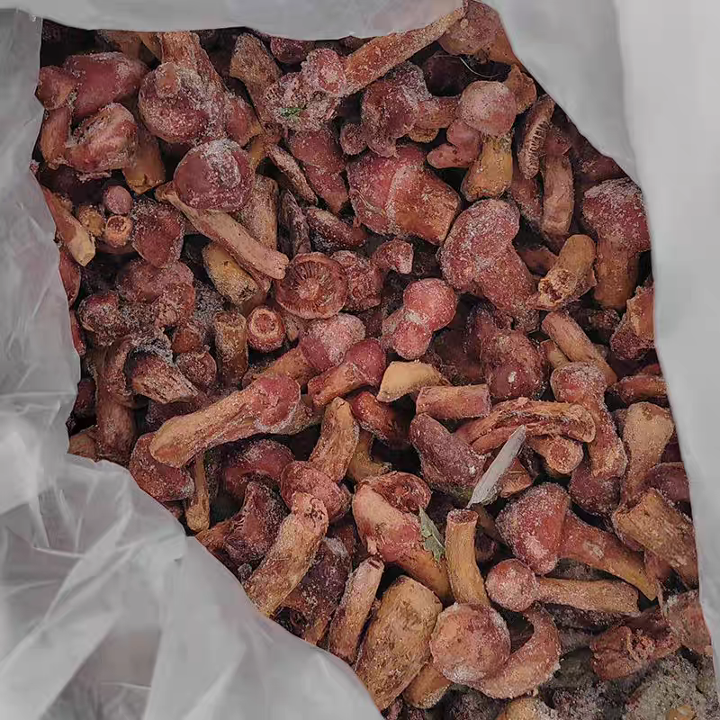 原产地内蒙古·敖汉旗野生速冻红蘑肉蘑野生食用菌