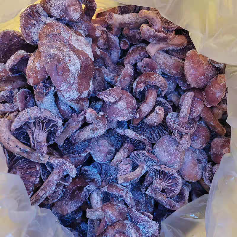 原产地内蒙古·敖汉旗野生速冻红蘑肉蘑野生食用菌