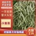 精品四季豆/小金豆/源头基地直供/货源充足/欢迎咨询了解
