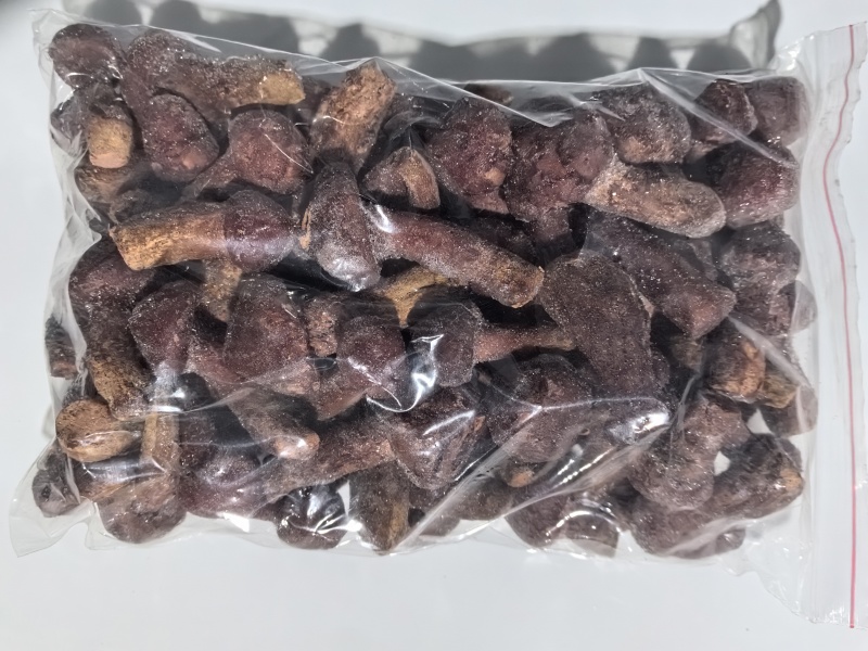 原产地内蒙古·敖汉旗野生速冻红蘑肉蘑野生食用菌