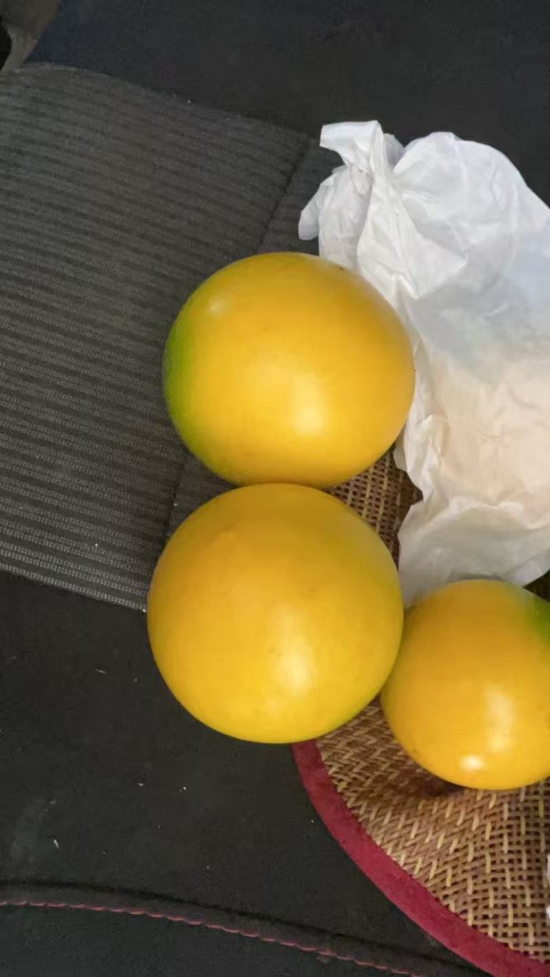 黄晶果