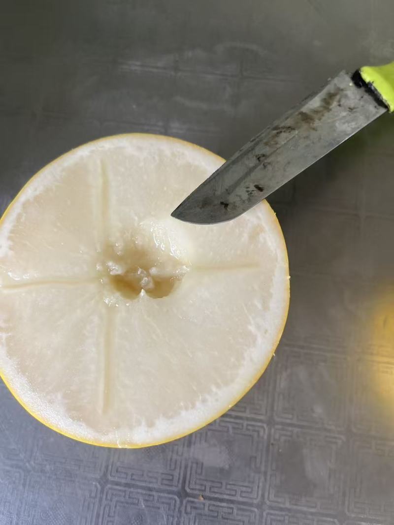 黄晶果