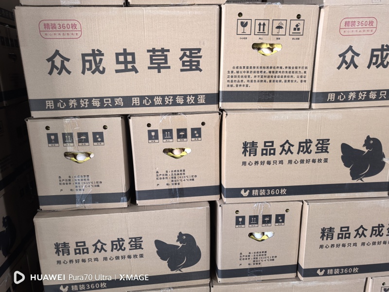 众成土鸡蛋