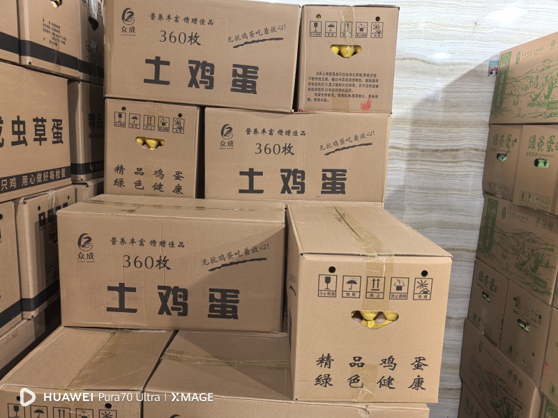 众成土鸡蛋