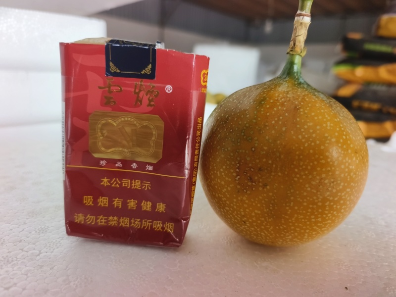 哥伦比亚热情果
