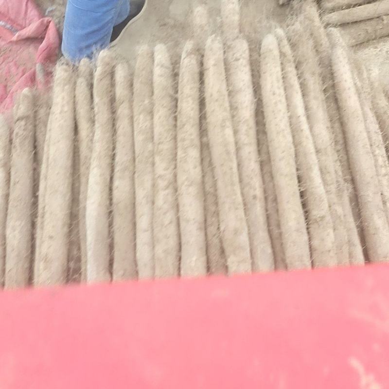 白玉山药