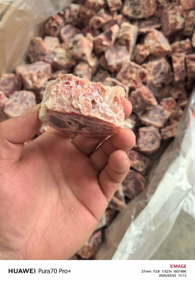 羊蝎子