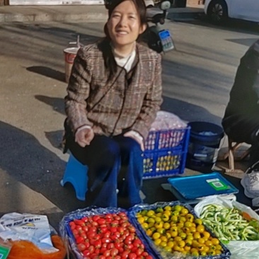 小柿子405