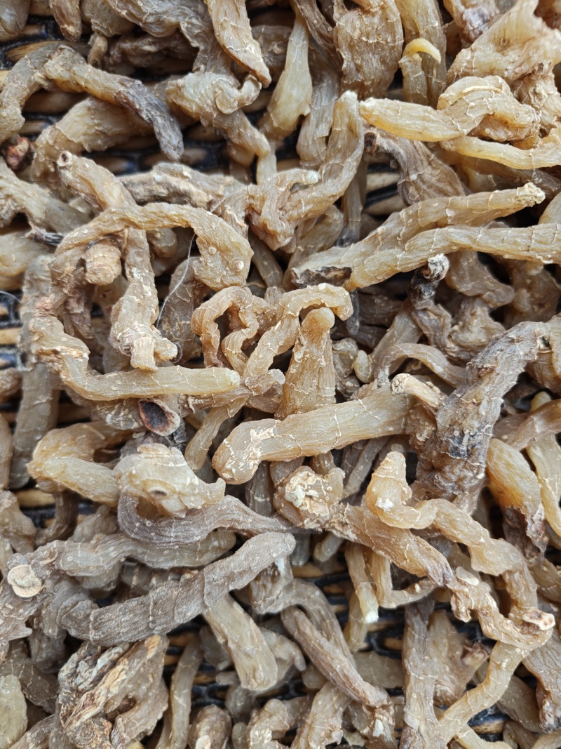 黄精鸡头野生高含量产地直销