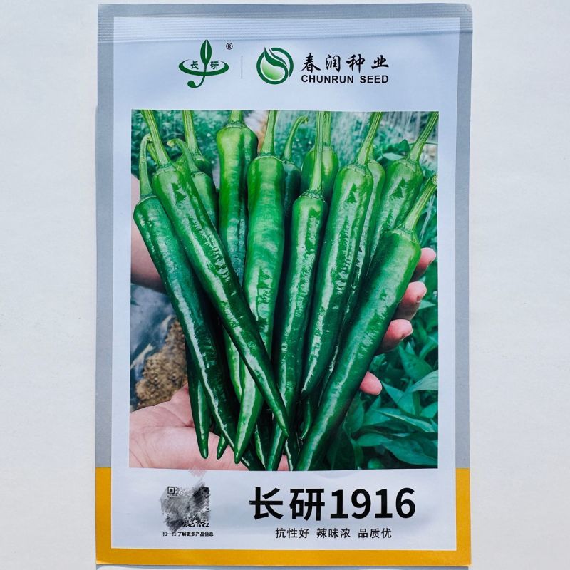 辣泼妇辣椒种子香辣尖椒辣椒种子四季青红椒辣椒籽高产基地种