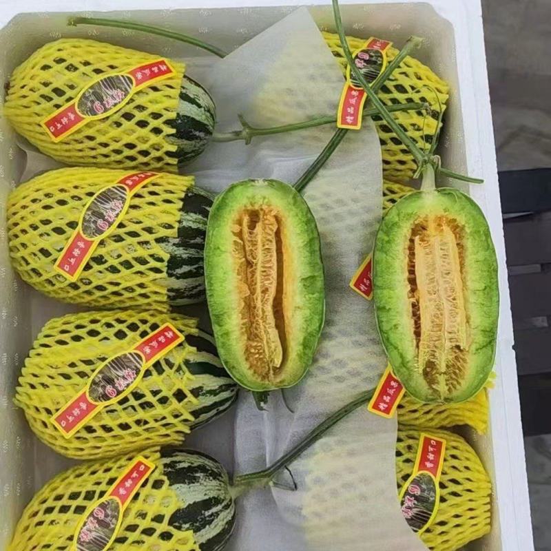 甜瓜批发