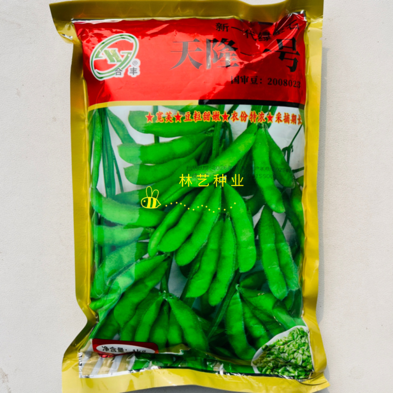 天隆一号毛豆种子特绿青豆籽高产大粒黄豆大豆种籽菜豆